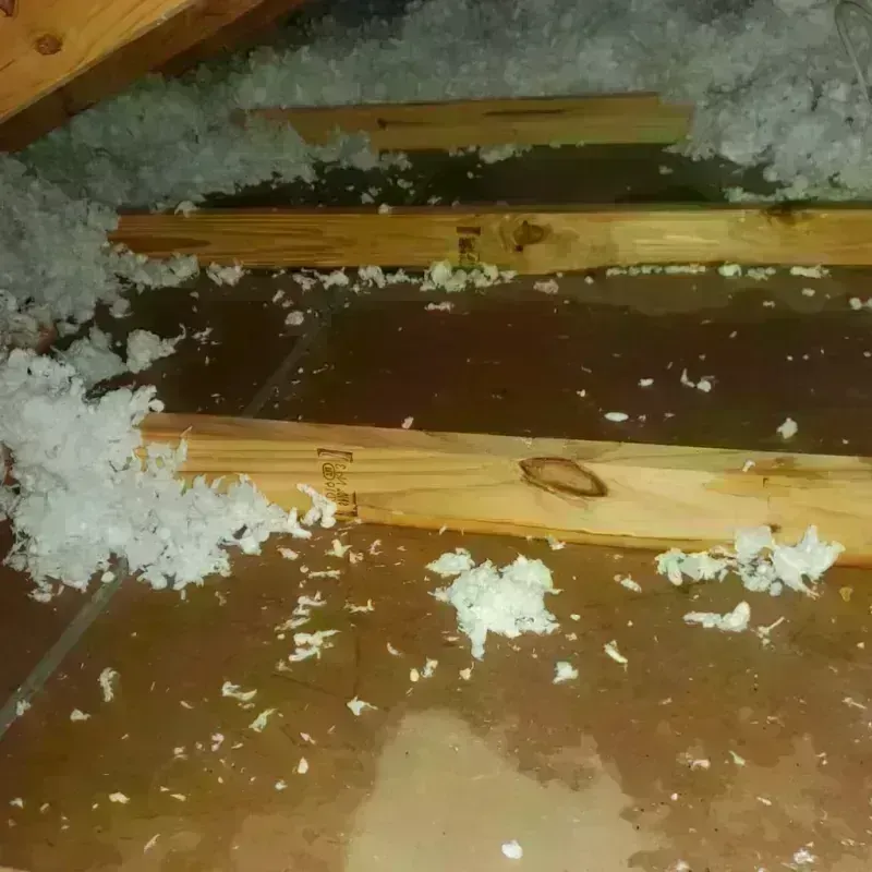 Attic Water Damage in Three Oaks, FL