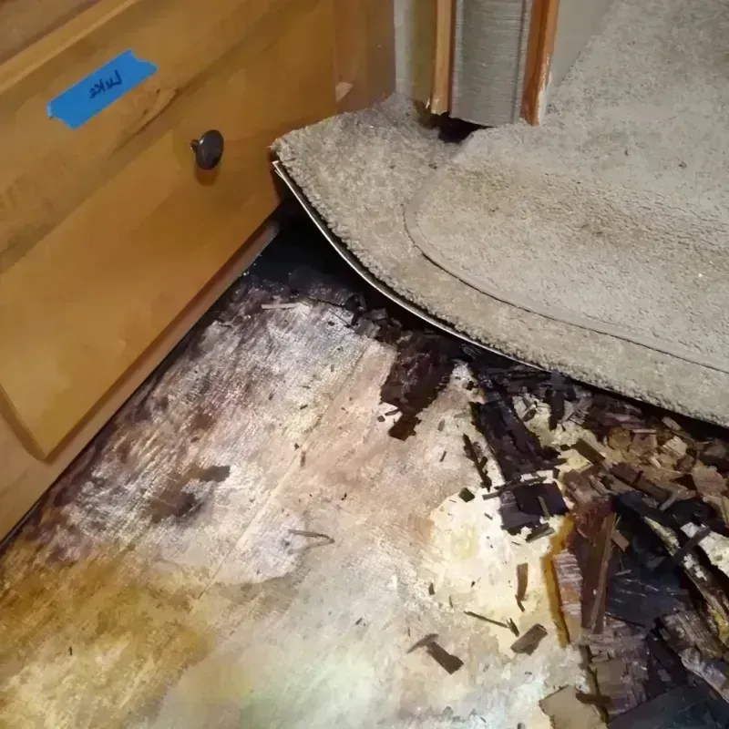 Wood Floor Water Damage in Three Oaks, FL